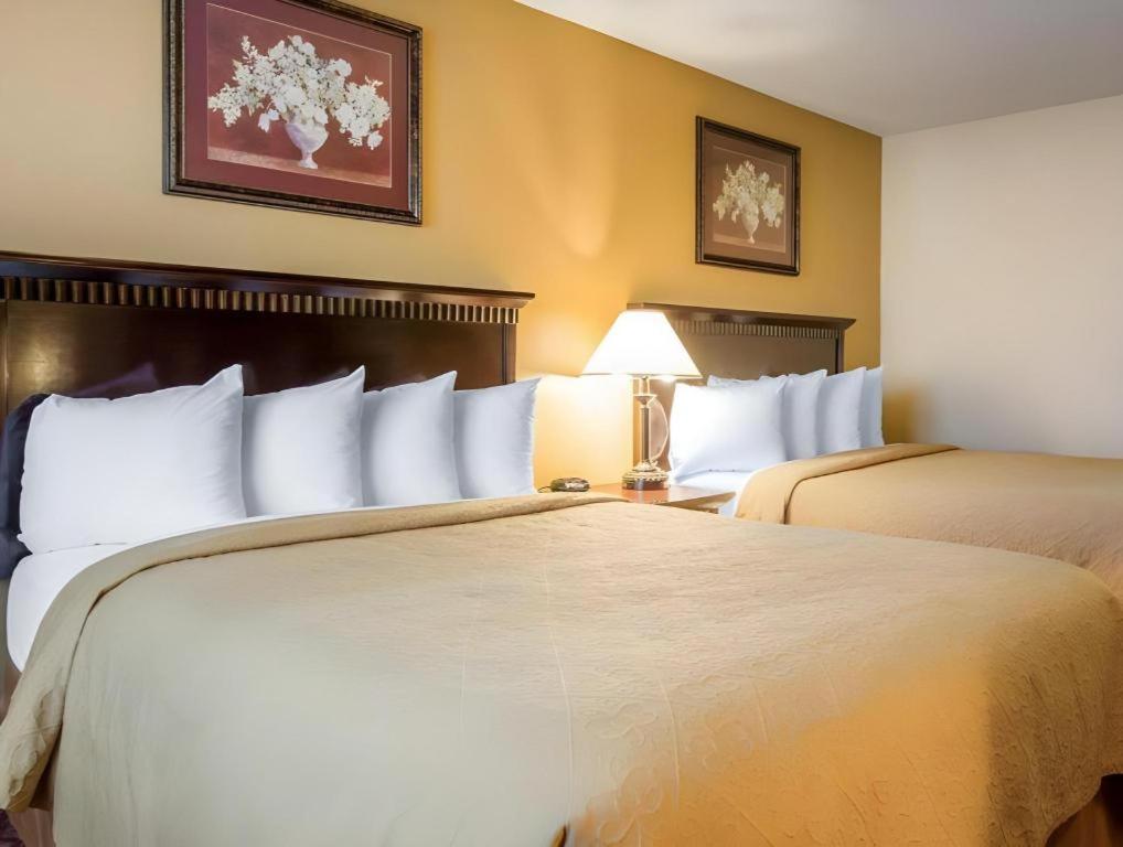Quality Inn San Bernardino Eksteriør bilde