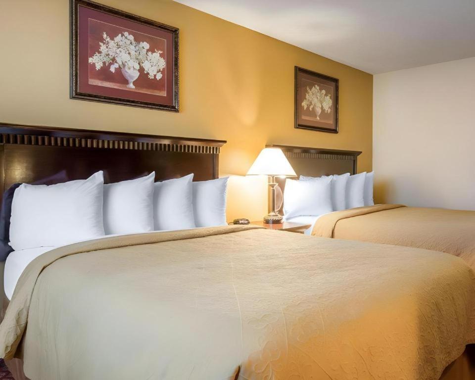 Quality Inn San Bernardino Eksteriør bilde