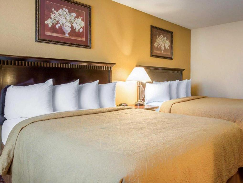 Quality Inn San Bernardino Eksteriør bilde